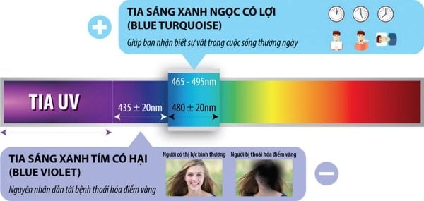 Tròng Kính ESSILOR CRIZAL PREVENCIA - Ngăn mối nguy hại tiềm ẩn từ Ánh sáng xanh, Ánh sáng tím